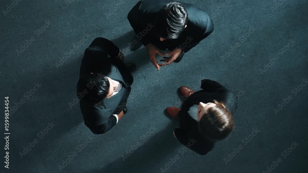 Poster top down aerial view of diverse business team explain marketing strategy while standing and looking 