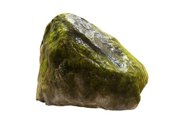 a rock covered in moss on a white surface