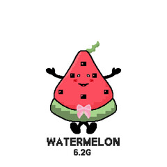 Watermelon Pixel Art Fun Low Sugar Fruit Character (6.2g per 100g)