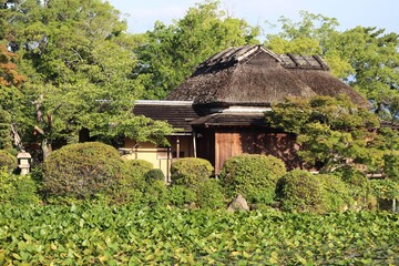 神野公園　隔林亭