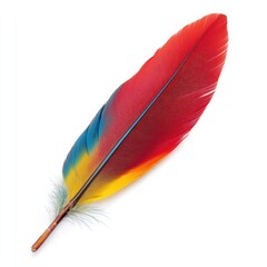 A single, soft blue quill pen rests isolated on a white background, ready for calligraphy