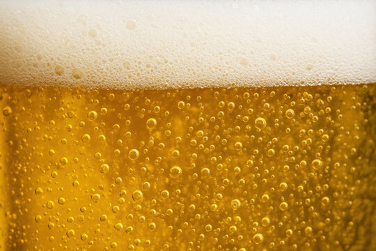 Beer being poured into a glass. - Powered by Adobe