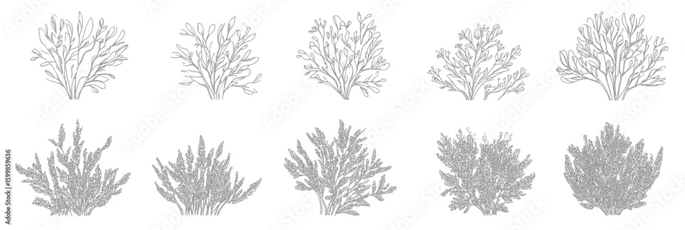Poster set of ten different bush and grass shrub line art vector illustrations with detailed fine lines on 