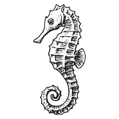 Hand-Drawn Seahorse Set &ndash; Vintage Marine Life Illustration in Engraved Line Art Style
