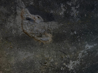 Detailed macro image of a textured concrete wall with natural decay,  timeworn stains. This is an interesting natural pattern with abstraction, natural texture in the daylight