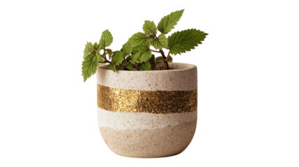 A natural hemp planter with metallic inlay accents, white background --ar 16:9