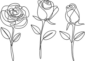 Three black line art roses flower floral