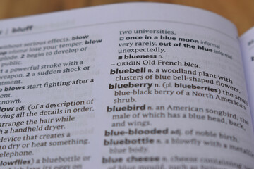 Close Up Of English Dictionary Page With Definition Word -Bluebell