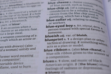 English Definition Dictionary Page Of Printed Word -  Blueish Close Up