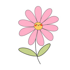 pink daisy flower