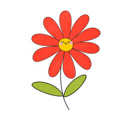 red daisy flower