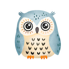 owl 