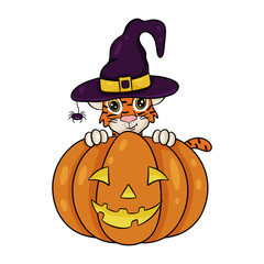 Tiger cub in a witch's hat peeks out from behind a pumpkin. Doodle illustration for Halloween.