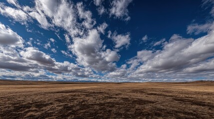Fototapeta premium Vast grassland expanse under a dramatic sky