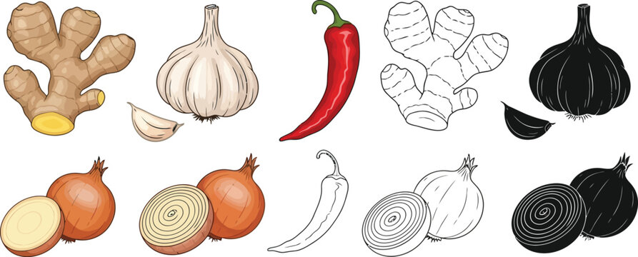 Stock illustration of ginger garlic onion and chili pepper for cooking and healthy eating