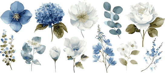 Watercolor Blue and White Floral Clipart Set on White Background