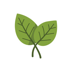 Two stylized, light green leaves with dark green veins intersect, casting soft shadows on a white background, creating a simple, organic, and peaceful ambiance.
