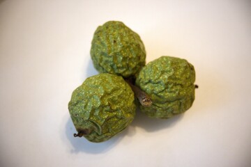Walnuts in green shells on white background