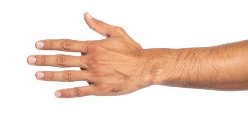 Open hand showing five fingers on transparent background