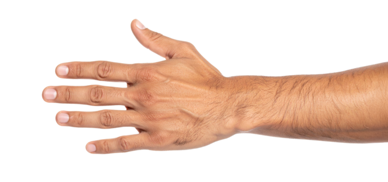 Open hand showing five fingers on transparent background