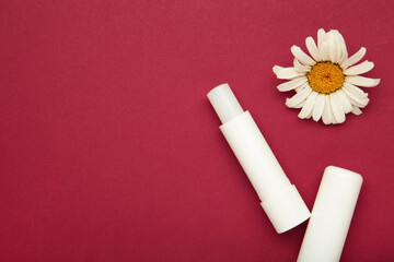 Lip balms and chamomile flowers on red background.
