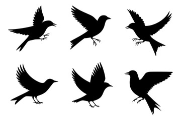 Obraz premium Six Soaring Birds: A set of elegant black silhouette illustrations depicts six birds in various flight poses against a stark white background, showcasing their sleek forms and dynamic movement.