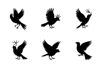 Obraz premium Six Bird Silhouettes: A collection of elegant black and white vector illustrations featuring birds in various flight poses, showcasing their graceful forms against a clean white background.