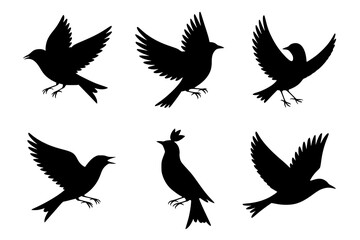 Obraz premium Six Bird Silhouettes: A collection of elegant black and white bird silhouettes in various flight poses, showcasing their graceful forms against a white background.