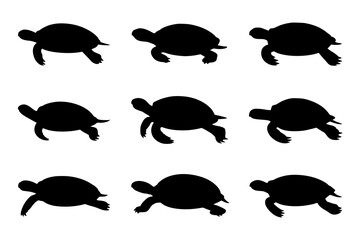 Obraz premium Nine Turtle Silhouettes: A set of simple black and white vector illustrations depicting turtles in various poses, perfect for design projects.
