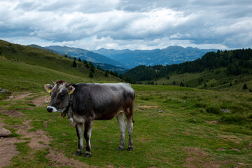 Val Sarentino is a splendid valley in South Tyrol that extends north of Bolzano up to the Pennes Pass.