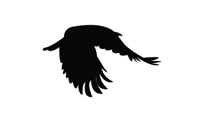 Flying American crow bird Silhouette Design  And Vector Illustration. 