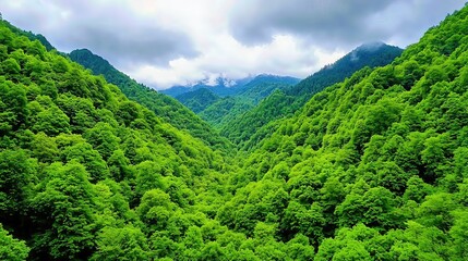 Serene Green Mountain Valley Landscape Under Cloudy Sky