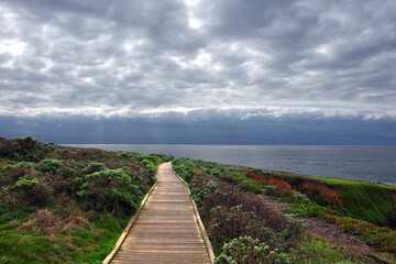 Fototapeta premium California Central Coast near Cambria in Winter