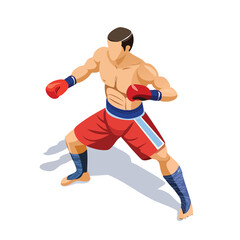 muay thai technical isometric vector drawing with defined edges and modern simplicity.