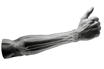 Naklejka premium PNG Arm muscle x-ray finger hand.