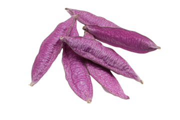 a bunch of purple beans on a white surface