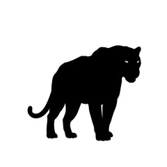 Obraz premium Silhouette of a Panther: An Elegant Representation of One of Nature's Most Majestic Creatures