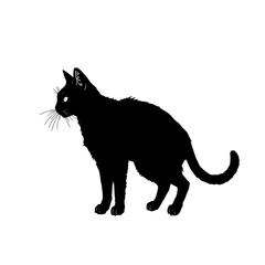 Black Cat Silhouette