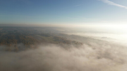 Sunlit misty forest during early morning hours