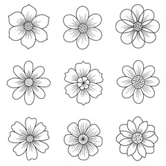 Obraz premium A Beautiful Arrangement of Hand-Drawn Floral Patterns Showcasing Nine Unique Flowers in Black and White