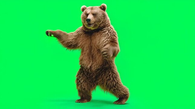 Dancing bear isolated on green screen background