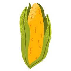 Corn cob with green husk partially opened. Bright yellow kernels with stylized texture. Fresh organic vegetable for healthy meals. Isolated vector illustration on white background