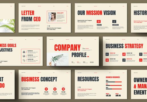 Company Profile Presentation