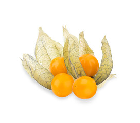 physalis fruit cluster, isolated on transparent background.