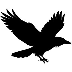 Raven and Crow Silhouette Vector Black Flying and Perched Bird Illustration for Halloween, Gothic Design, Tattoo, and Dark Art Projects  Minimalist Clean Editable SVG File

