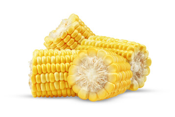 corn on the cob isolated on transparent background.