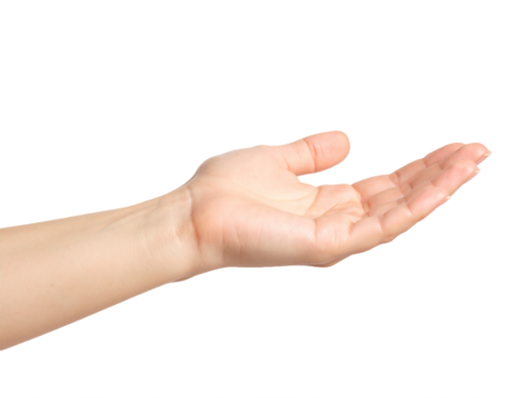 Hand palm open skin gesture human body part isolated on transparent background