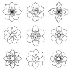 Obraz premium A Collection of Nine Beautiful Hand-Drawn Flower Illustrations in Various Designs and Shapes
