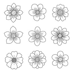 Beautiful Collection of Hand-Drawn Flowers Displayed in a Symmetrical Arrangement