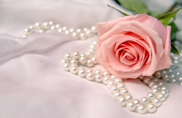 The branch of pink rose on white fabric background
